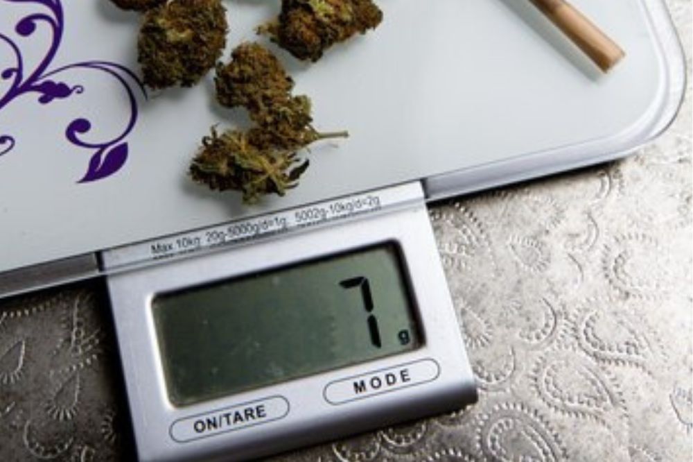 A Comprehensive Guide to Cannabis Measurements and Pricing